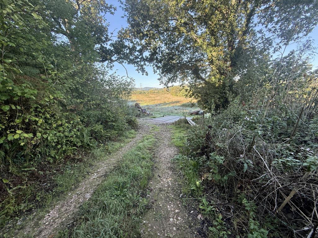 Lot: 22 - RIVER MEADOW PASTURE ADJOINING THE RIVER EXE WITH ROAD ACCESS - Lane down to land